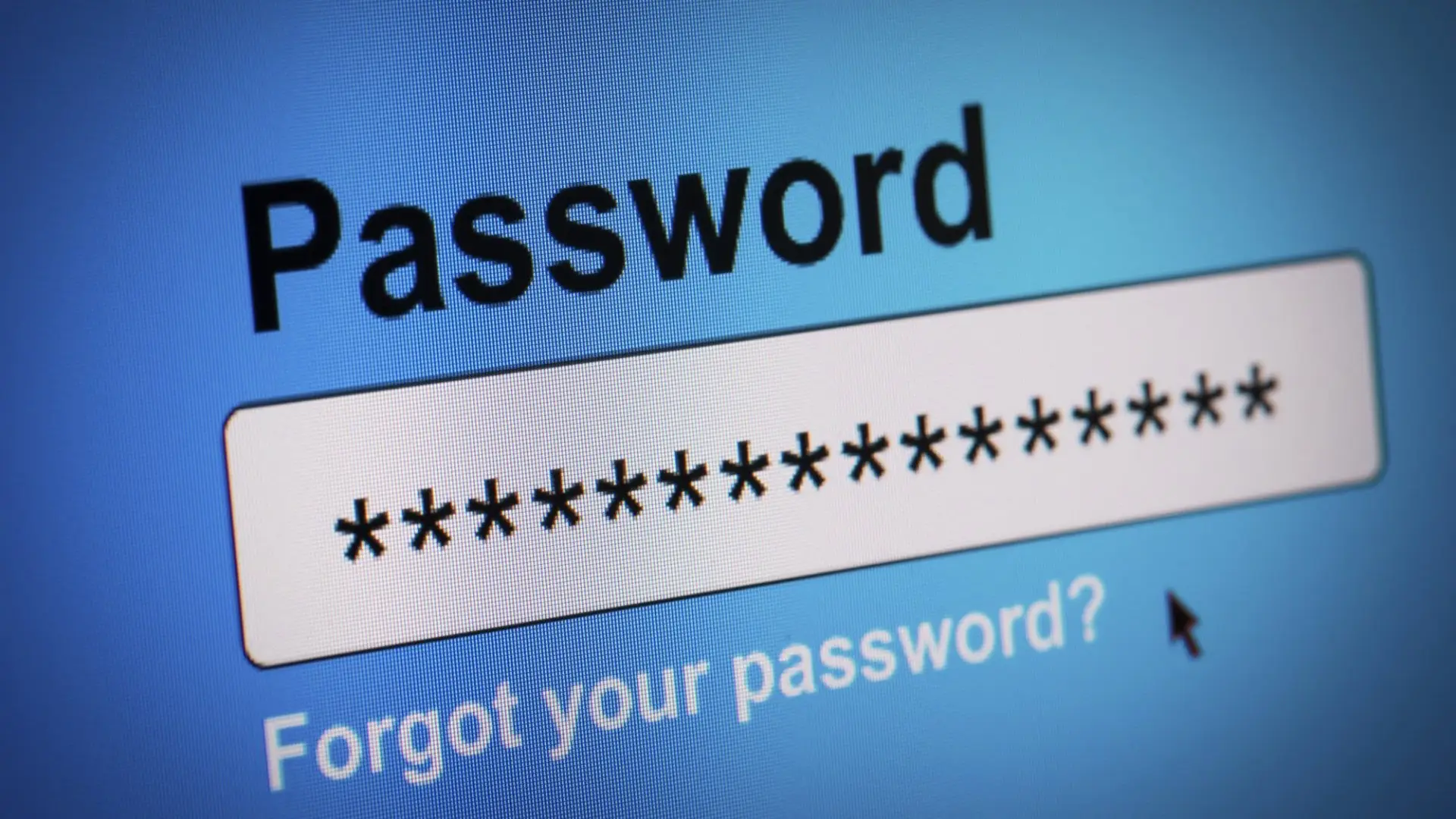 Password