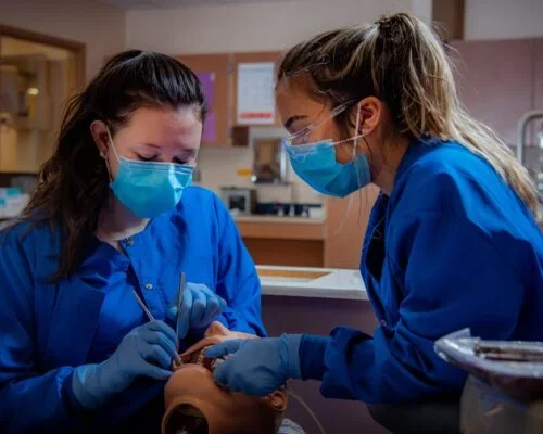 hygienists doing a patient cleaning