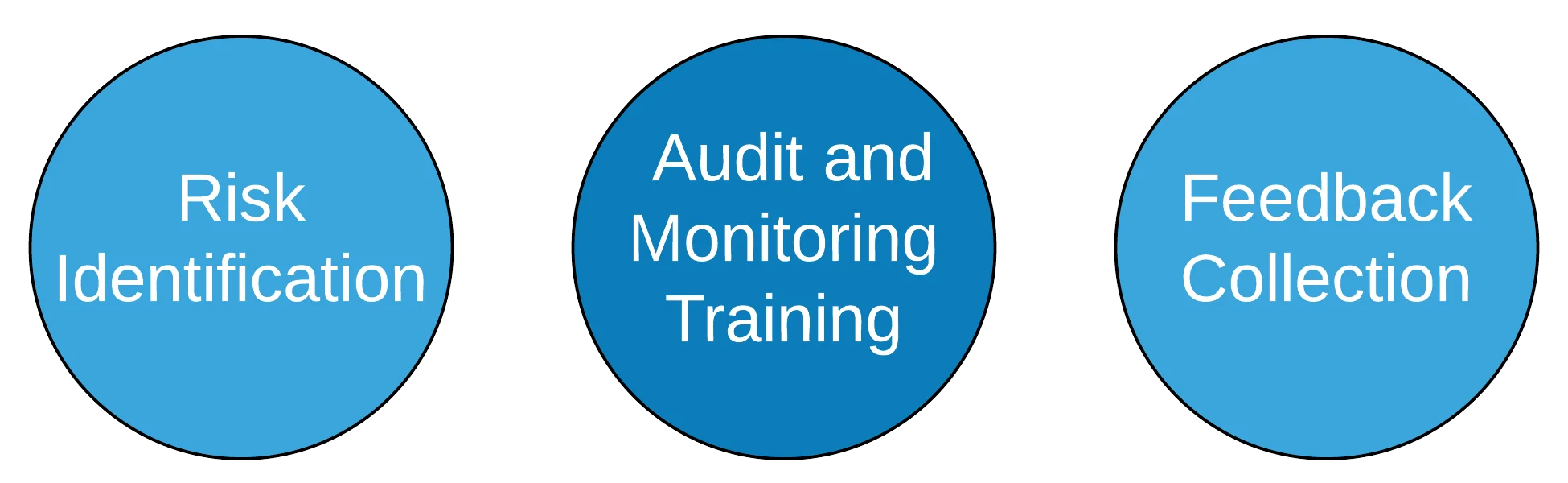 Descriptive image with three circles that read, Risk Identification, Audit and monitoring training, Feedback Collection